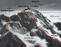McKinley (západní strana), červeně West Rib, oranžově Washburn Route. (foto: kniha World Mountaineering)